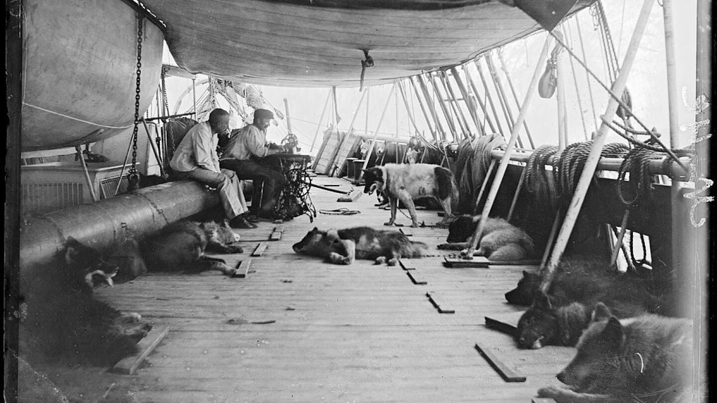 Perros en las primeras expediciones a la Ant&aacute;rtida