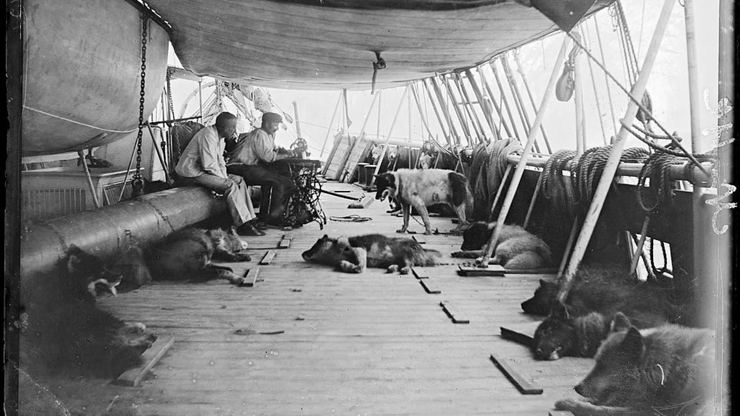 Perros en las primeras expediciones a la Antártida Perros en las primeras expediciones a la Antártida