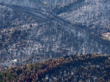 Incendio en Yeste Incendio en Yeste