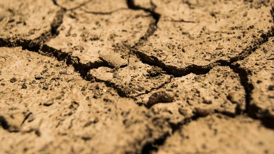 Tierra agrietada por la falta de agua Tierra agrietada por la falta de agua