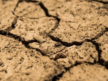 Tierra agrietada por la falta de agua Tierra agrietada por la falta de agua
