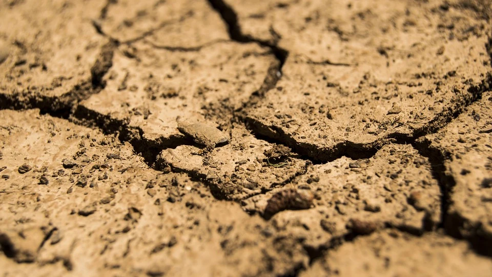 Tierra agrietada por la falta de agua