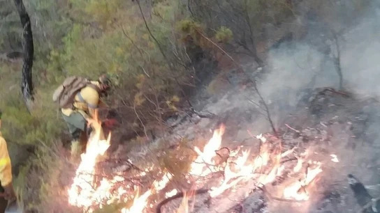 Bomberos intentan sofocar el incendio en Jaén Bomberos intentan sofocar el incendio en Jaén