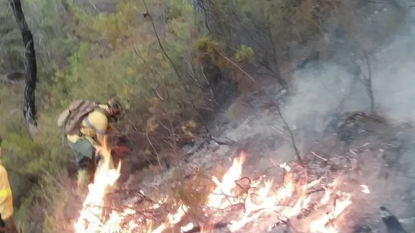 Bomberos intentan sofocar el incendio en Jaén