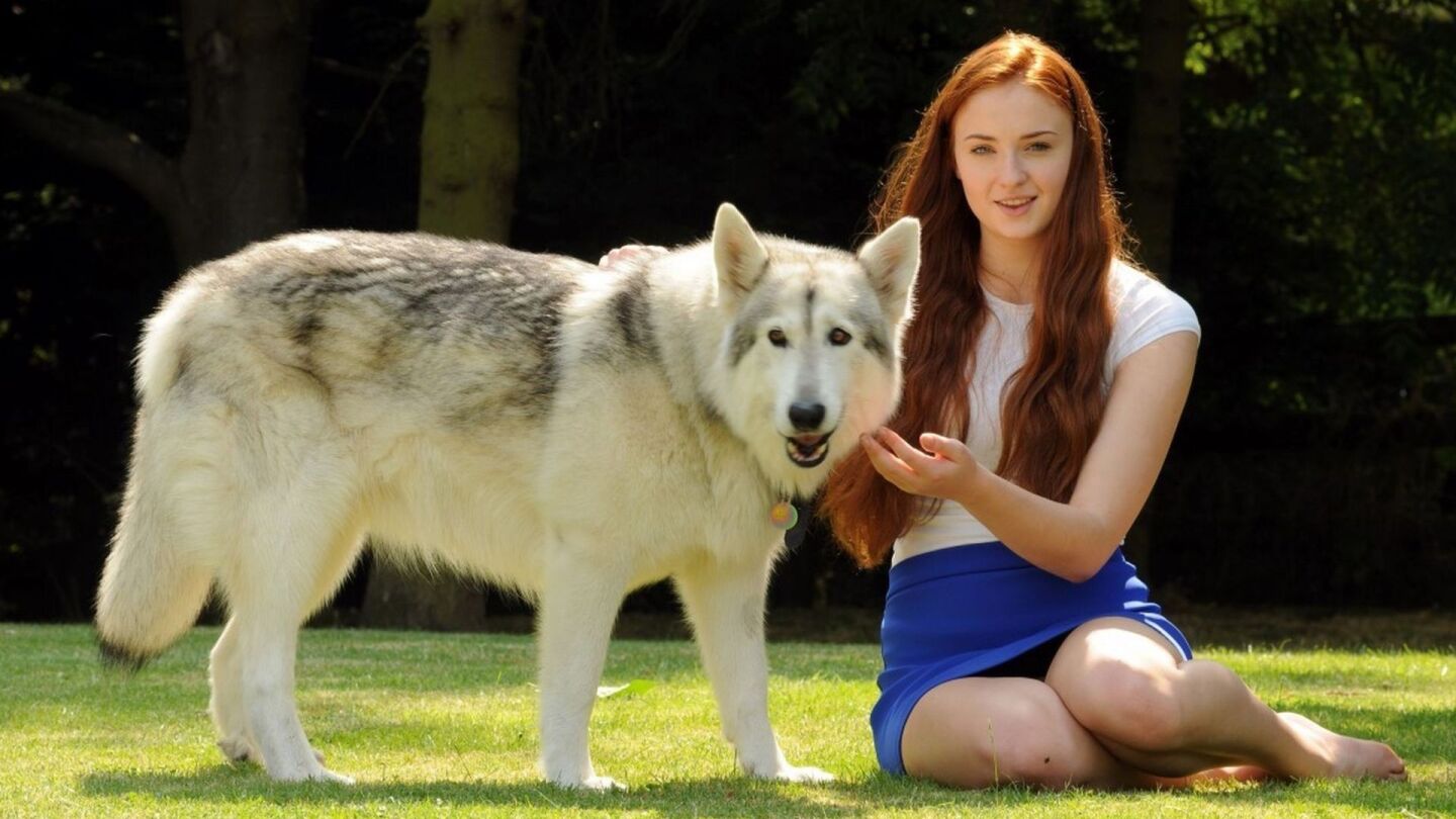 Sophie Turne, actriz que encarna en la ficci&oacute;n a Sansa Stark decidi&oacute; quedarse con la perra que hizo de su loba Dama