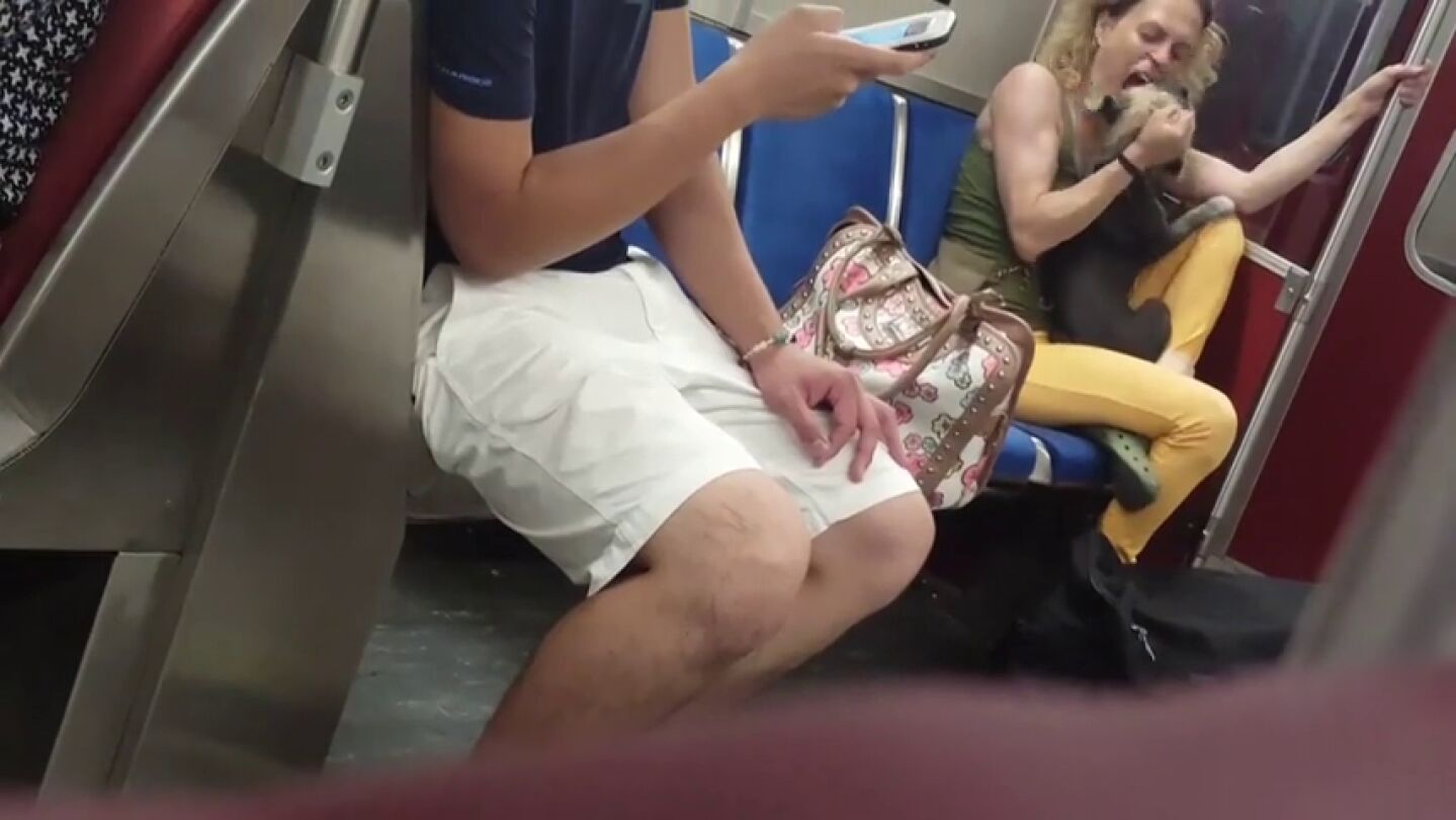 Un pasajero del metro de Toronto graba a una mujer mientras golpeaba y mord&iacute;a a su perro