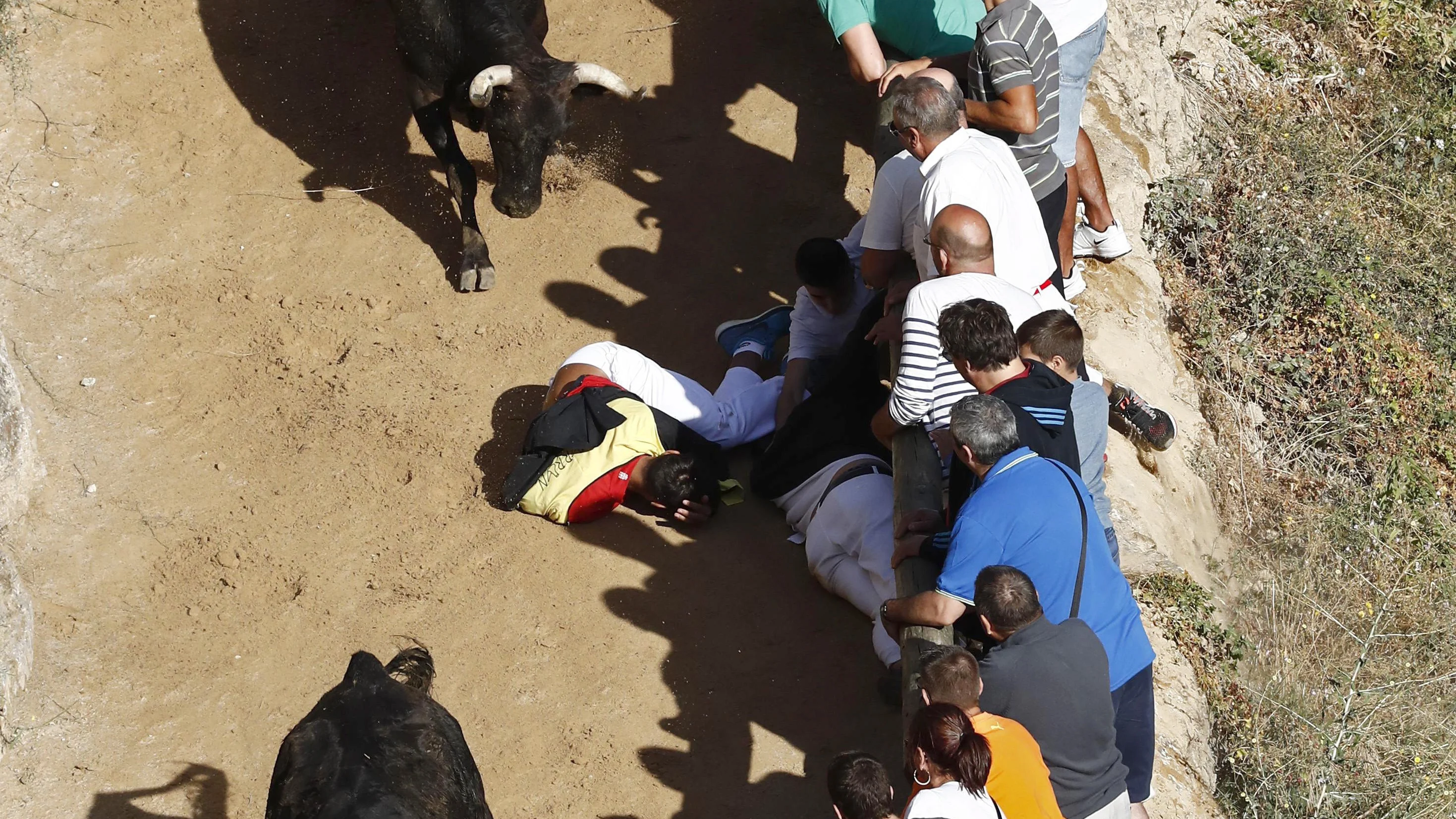 Encierro del Pilón de Falces