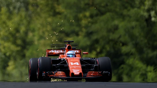 Fernando Alonso, durante el GP de Hungría Fernando Alonso, durante el GP de Hungría