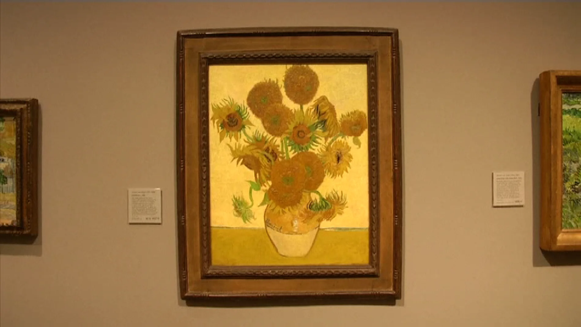 Los 'girasoles' de Van Gogh