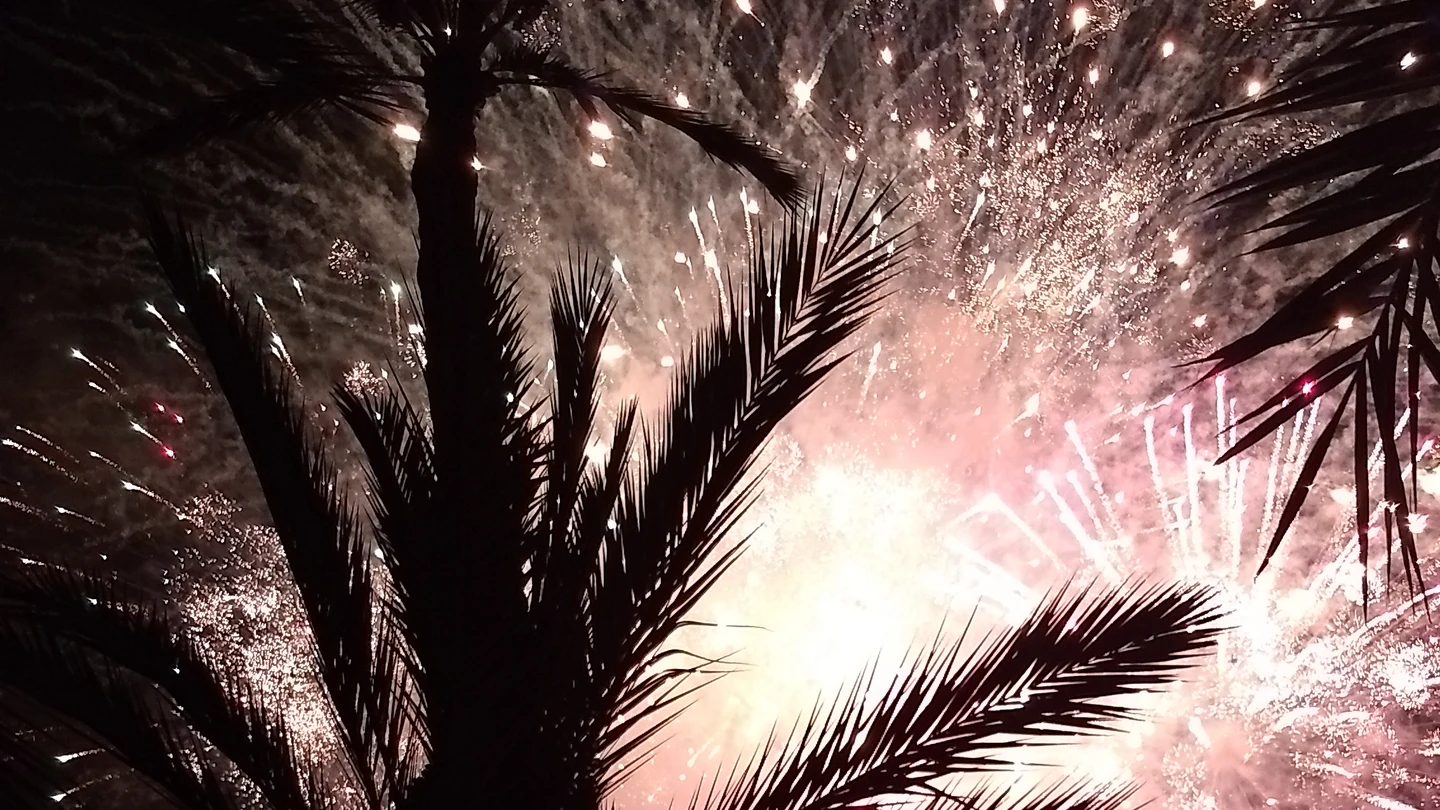 Fuegos artificiales Fuegos artificiales