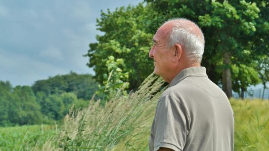 Un jubilado contempla el campo