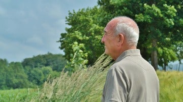 Un jubilado contempla el campo