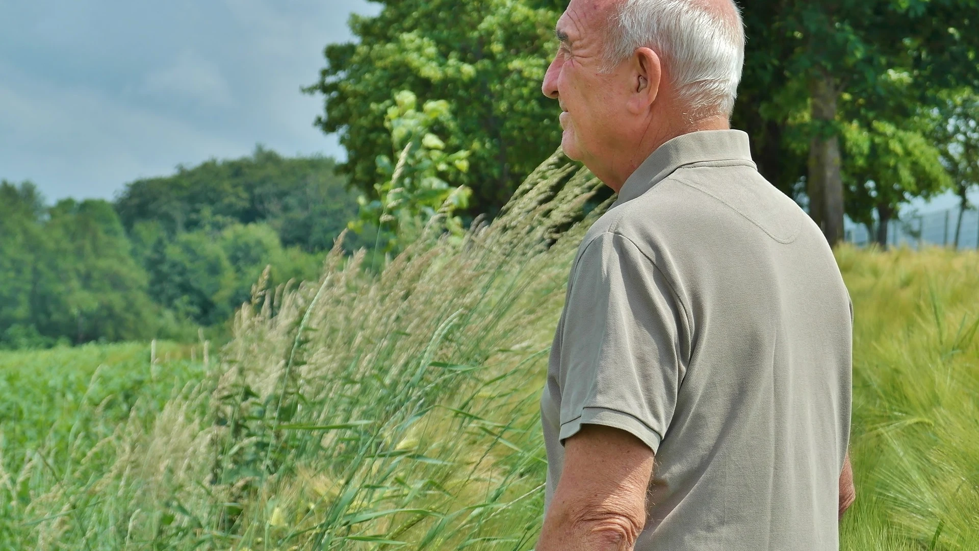 Un jubilado contempla el campo