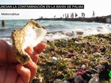 Ecologistas denuncian que en las playas de Mallorca hay 20.000 toneladas de plástico Ecologistas denuncian que en las playas de Mallorca hay 20.000 toneladas de plástico