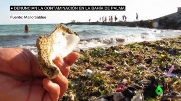 Ecologistas denuncian que en las playas de Mallorca hay 20.000 toneladas de plástico
