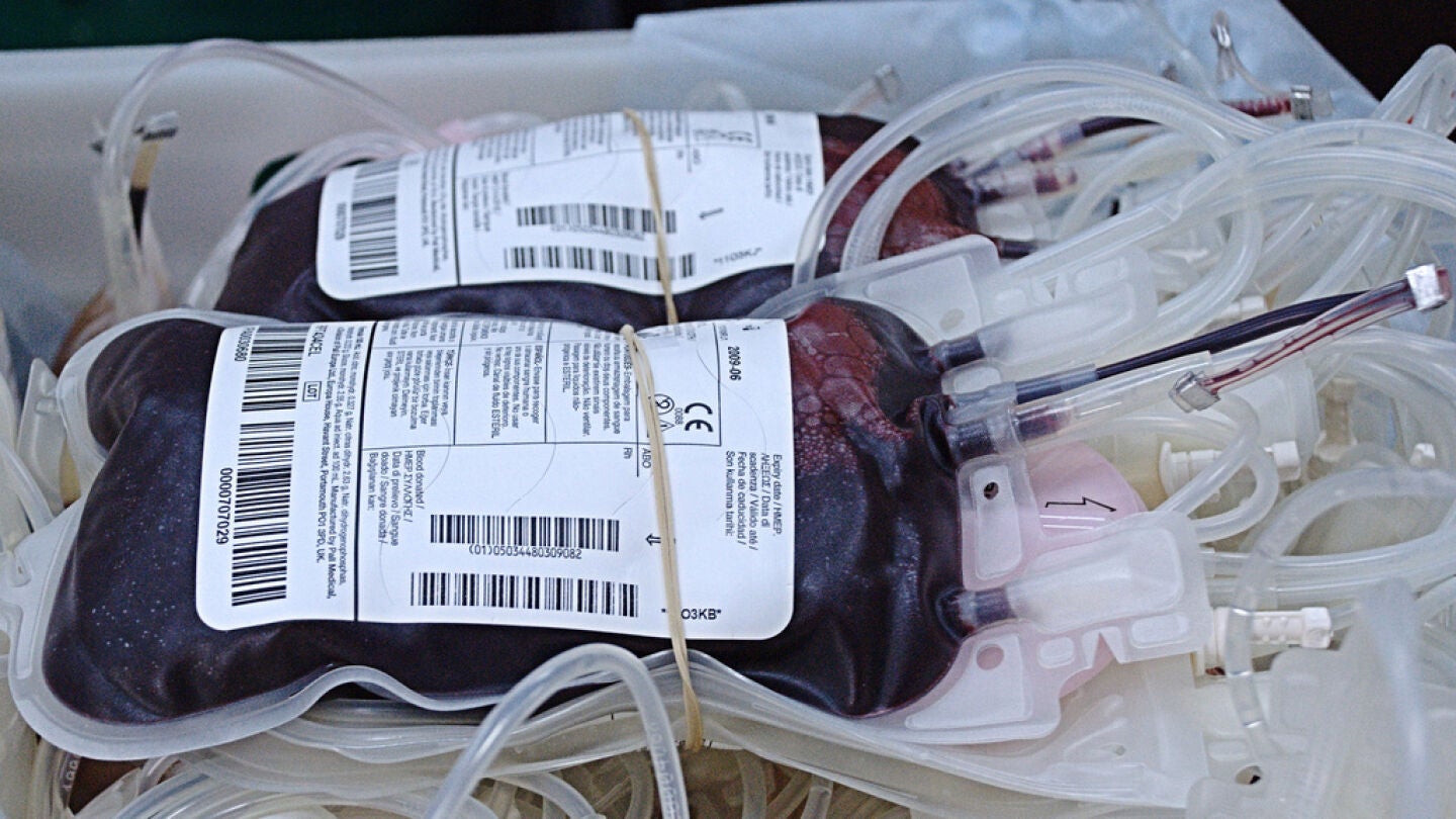 Donar sangre