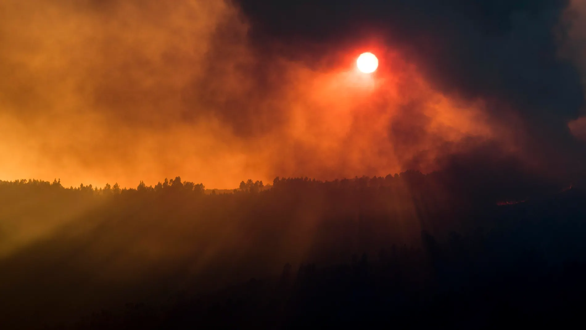 Portugal extiende el estado de calamidad preventivo para responder al elevado riesgo de incendios en Portugal 