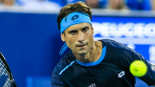 David Ferrer, durante un partido David Ferrer, durante un partido