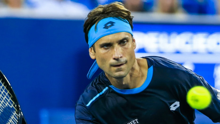 David Ferrer, durante un partido