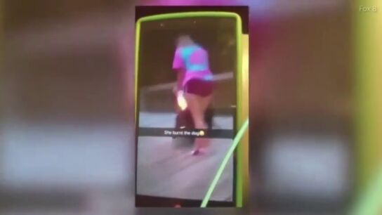 Quema a su perro con un aerosol y un mechero y se burla subiendo el v&iacute;deo a las redes sociales