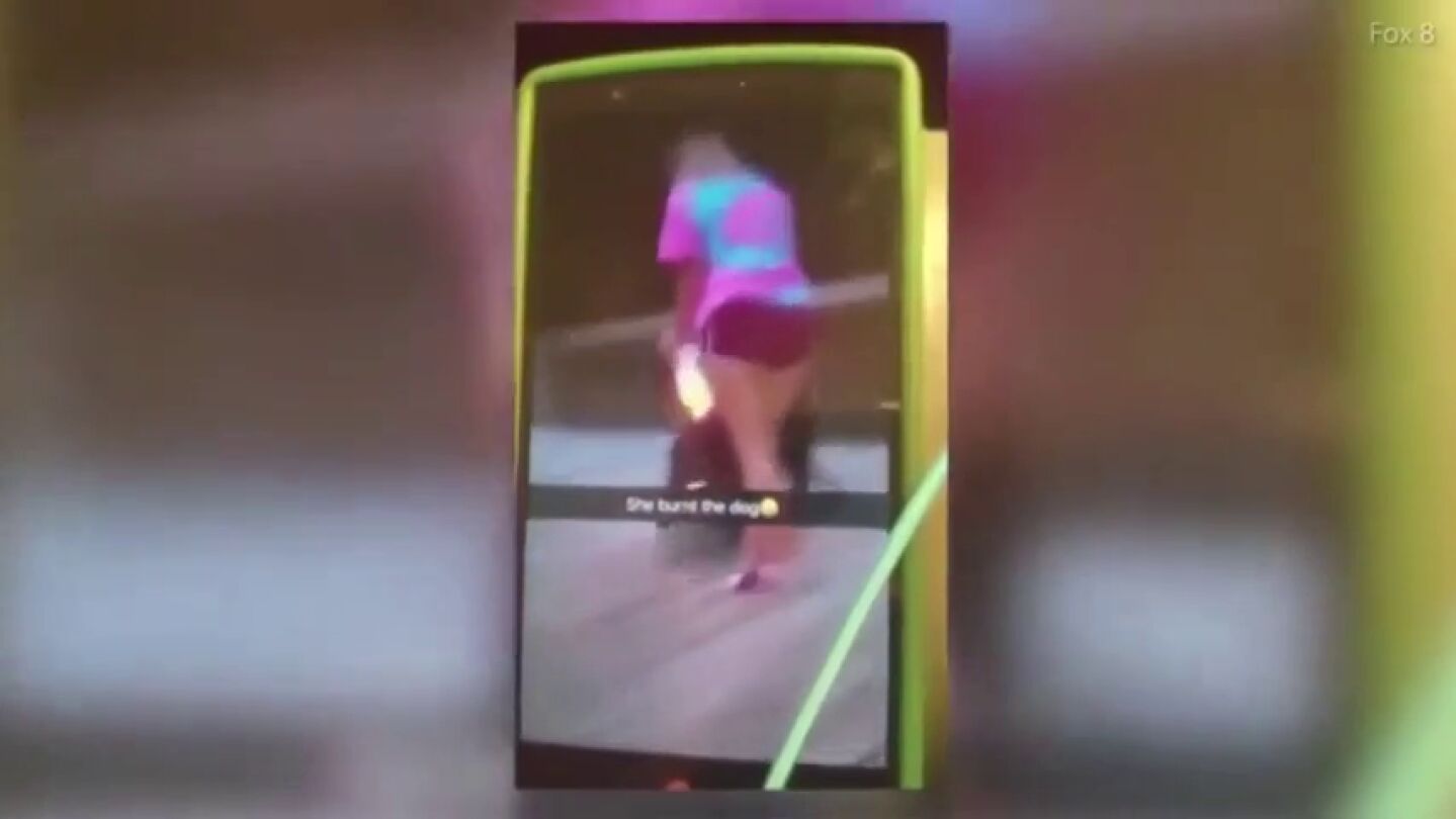 Quema a su perro con un aerosol y un mechero y se burla subiendo el v&iacute;deo a las redes sociales