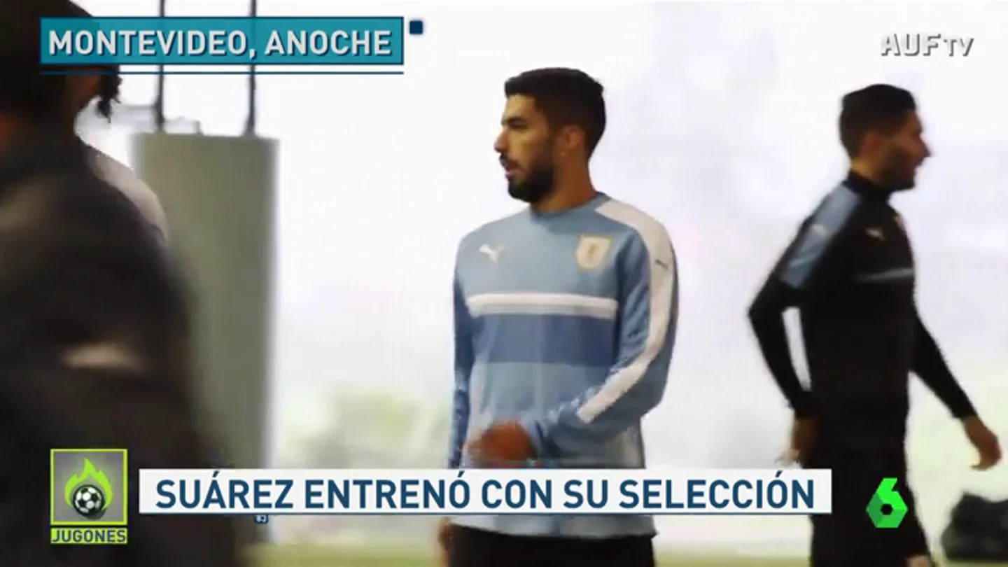 suarez suarez
