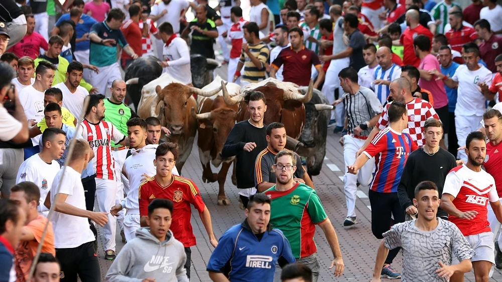 Los mozos corren delante de los toros, de la ganadería Peña de Francia, en el cuarto encierro de San Sebastián de los Reyes (Madrid) que tuvo lugar ayer.