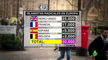 radicales europa