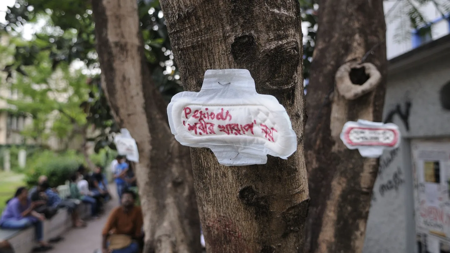 Una compresa con el mensaje "la menstruación no es una enfermedad", clavada en un árbol durante una manifestación en la India Una compresa con el mensaje "la menstruación no es una enfermedad", clavada en un árbol durante una manifestación en la India
