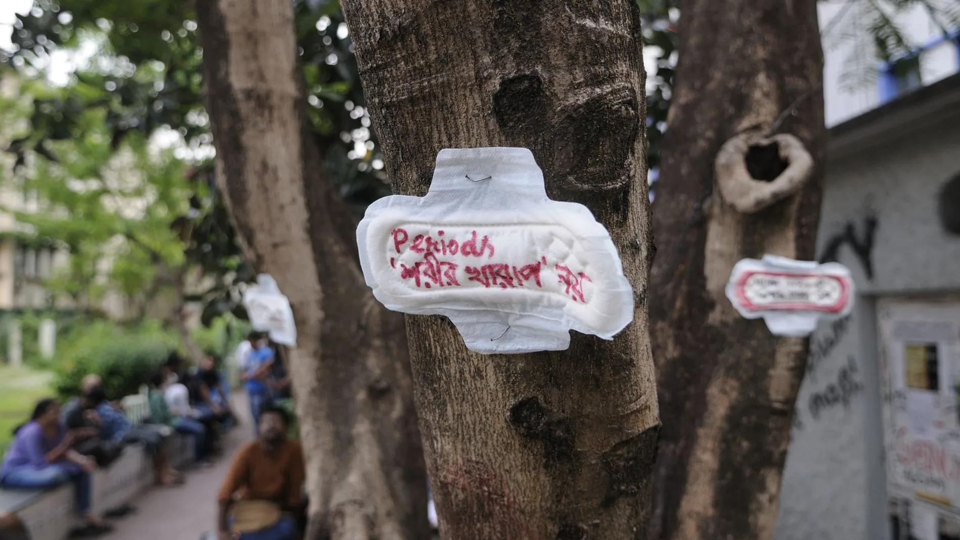 Una compresa con el mensaje "la menstruación no es una enfermedad", clavada en un árbol durante una manifestación en la India