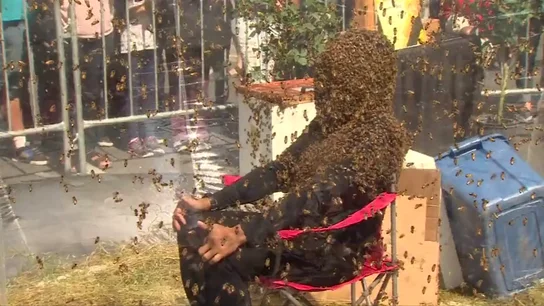 Un hombre aguanta 61 minutos sentado con la cara cubierta por abejas Un hombre aguanta 61 minutos sentado con la cara cubierta por abejas
