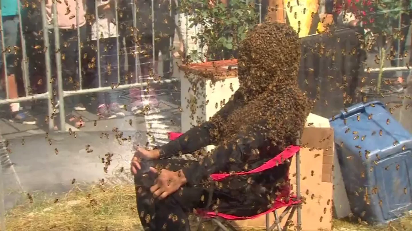 Un hombre aguanta 61 minutos sentado con la cara cubierta por abejas Un hombre aguanta 61 minutos sentado con la cara cubierta por abejas