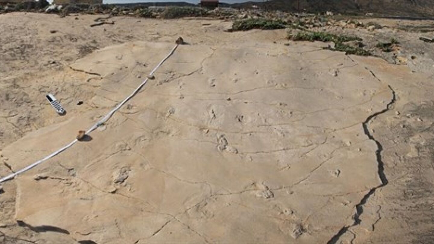 Huellas halladas en Creta