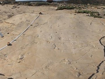 Huellas halladas en Creta Huellas halladas en Creta