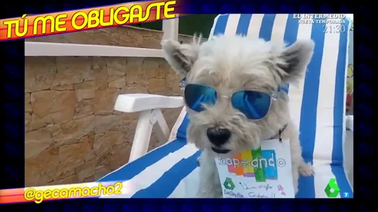 videclip zapeando videclip zapeando