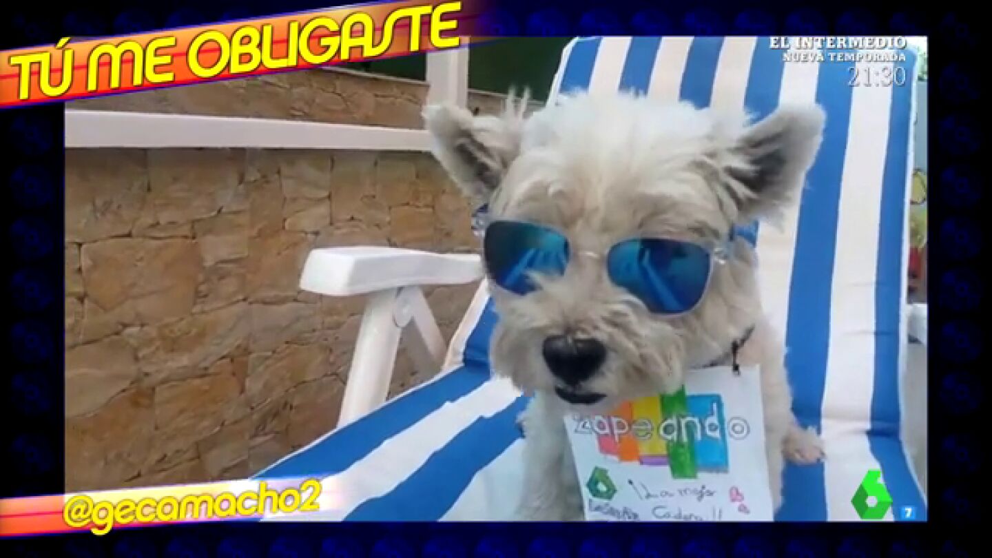 videclip zapeando