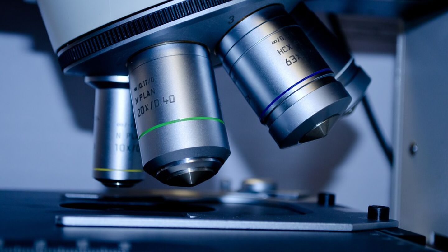 Imagen de un microscopio