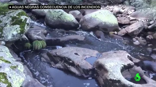 Los ríos teñidos de negro: el resultado de los incendios y las lluvias torrenciales Los ríos teñidos de negro: el resultado de los incendios y las lluvias torrenciales