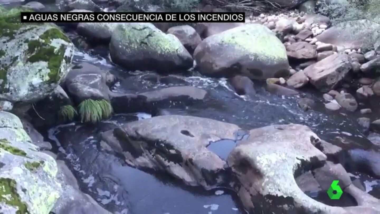 Los r&iacute;os te&ntilde;idos de negro: el resultado de los incendios y las lluvias torrenciales 