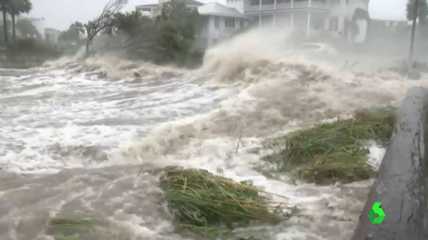 IRMA