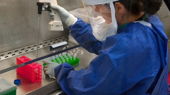 Presentan nuevos avances en cánceres infantiles Presentan nuevos avances en inmunoterapia contra distintos cánceres