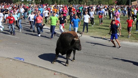 Imagen del Toro de la Vega 2017 en Tordesillas