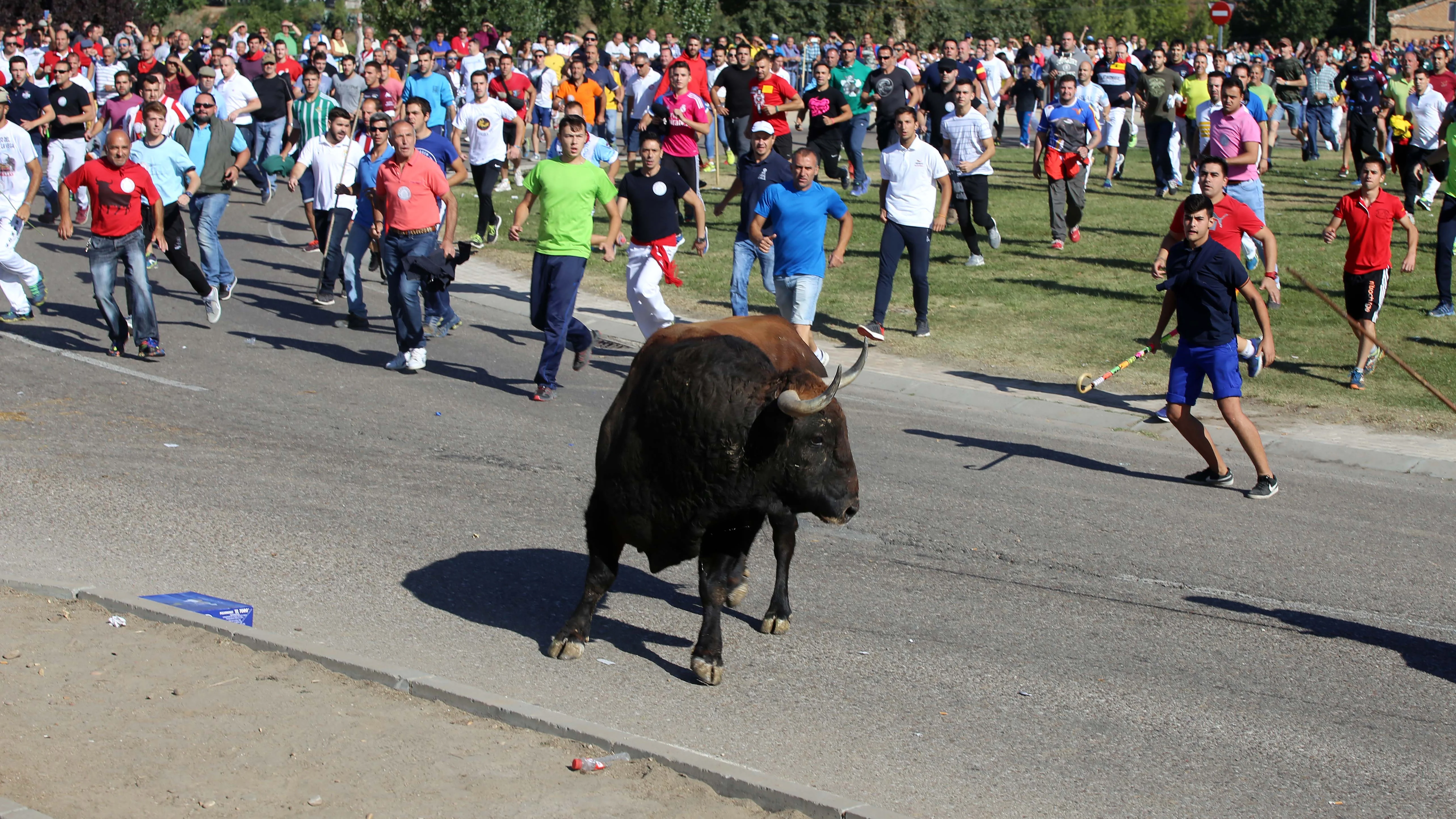 Imagen del Toro de la Vega 2017 en Tordesillas Imagen del Toro de la Vega 2017 en Tordesillas