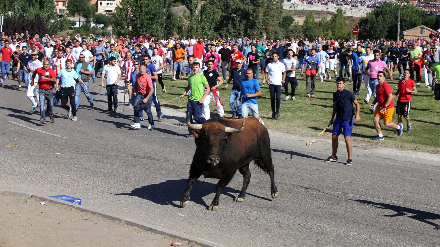 Encierro del Toro de la Vega