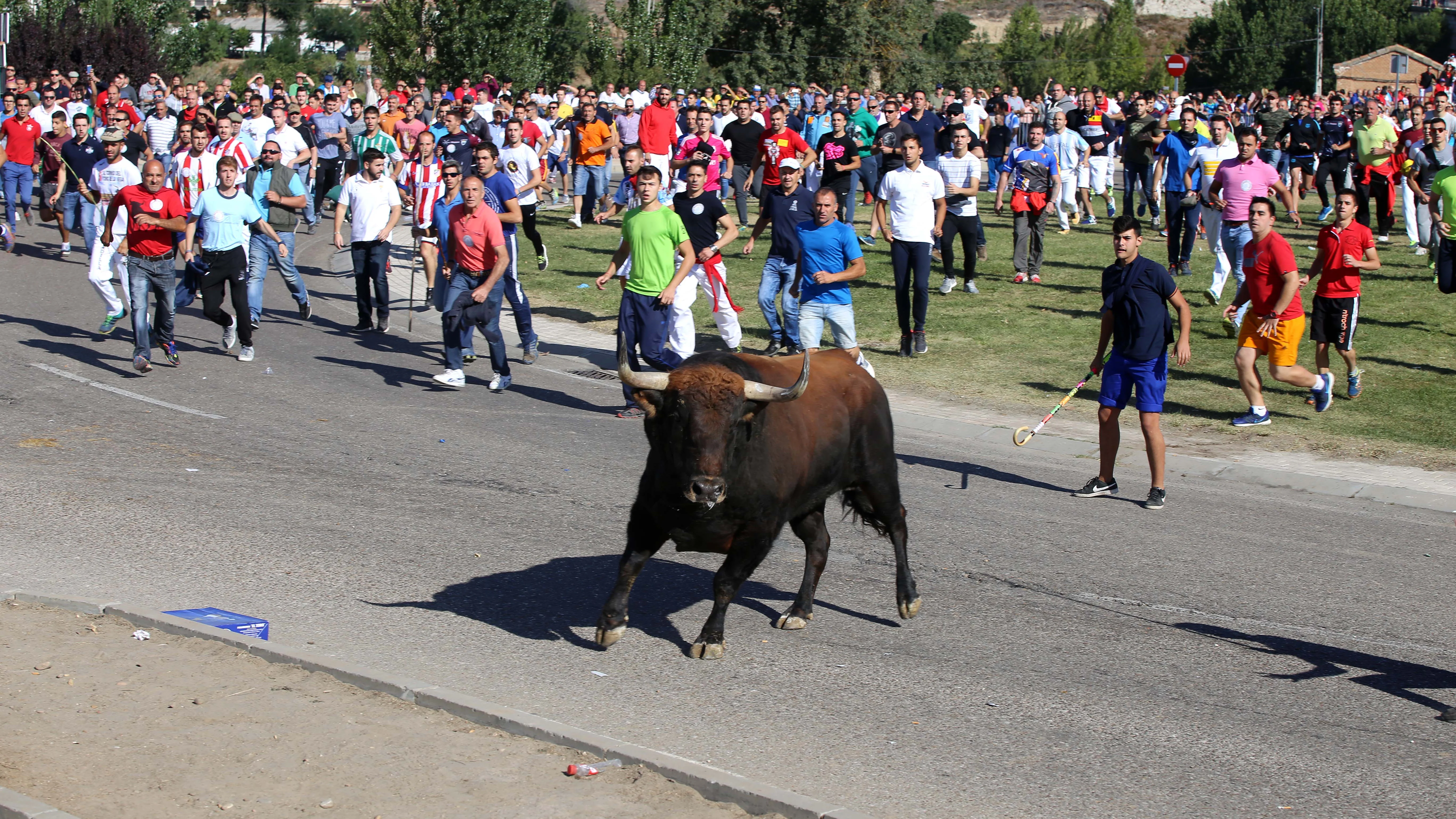 Encierro del Toro de la Vega