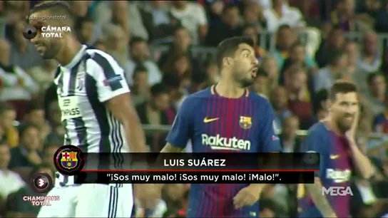 SuarezMalo SuarezMalo