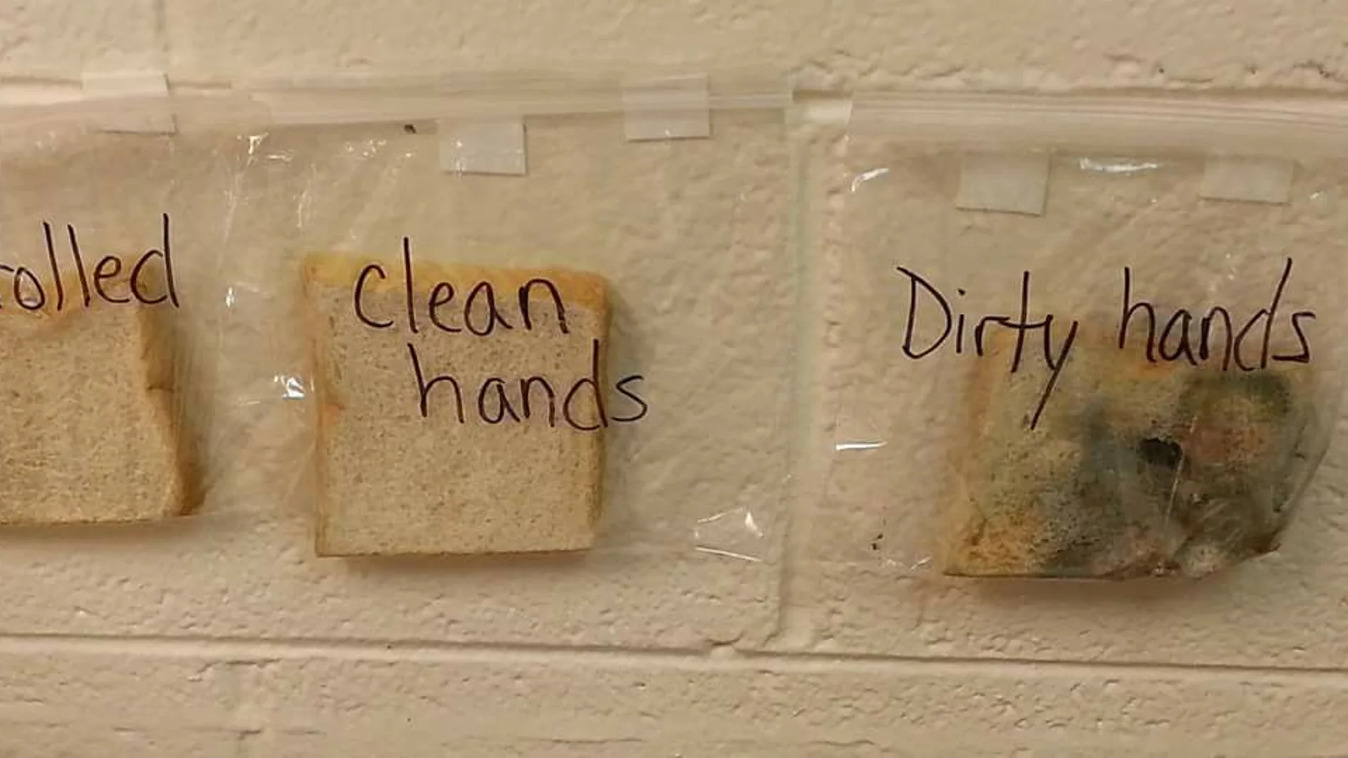 El 'experimento limpio' realizado por una profesora en EEUU para mostrar la importancia de la higiene