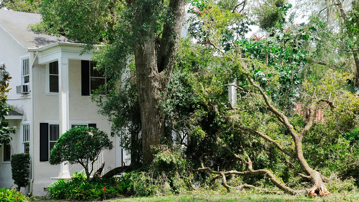 Ocho ancianos mueren en un asilo de Florida por quedarse sin luz tras el paso del huracán Irma