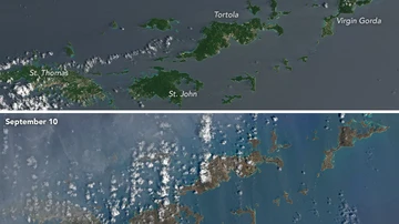 Las Islas Vírgenes han perdido su verde natural por el azote de Irma 