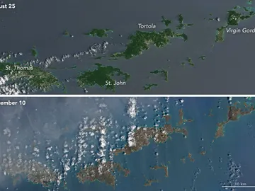 Las Islas Vírgenes han perdido su verde natural por el azote de Irma Las Islas Vírgenes han perdido su verde natural por el azote de Irma